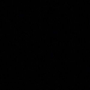 Meet your Posher, Leitzie